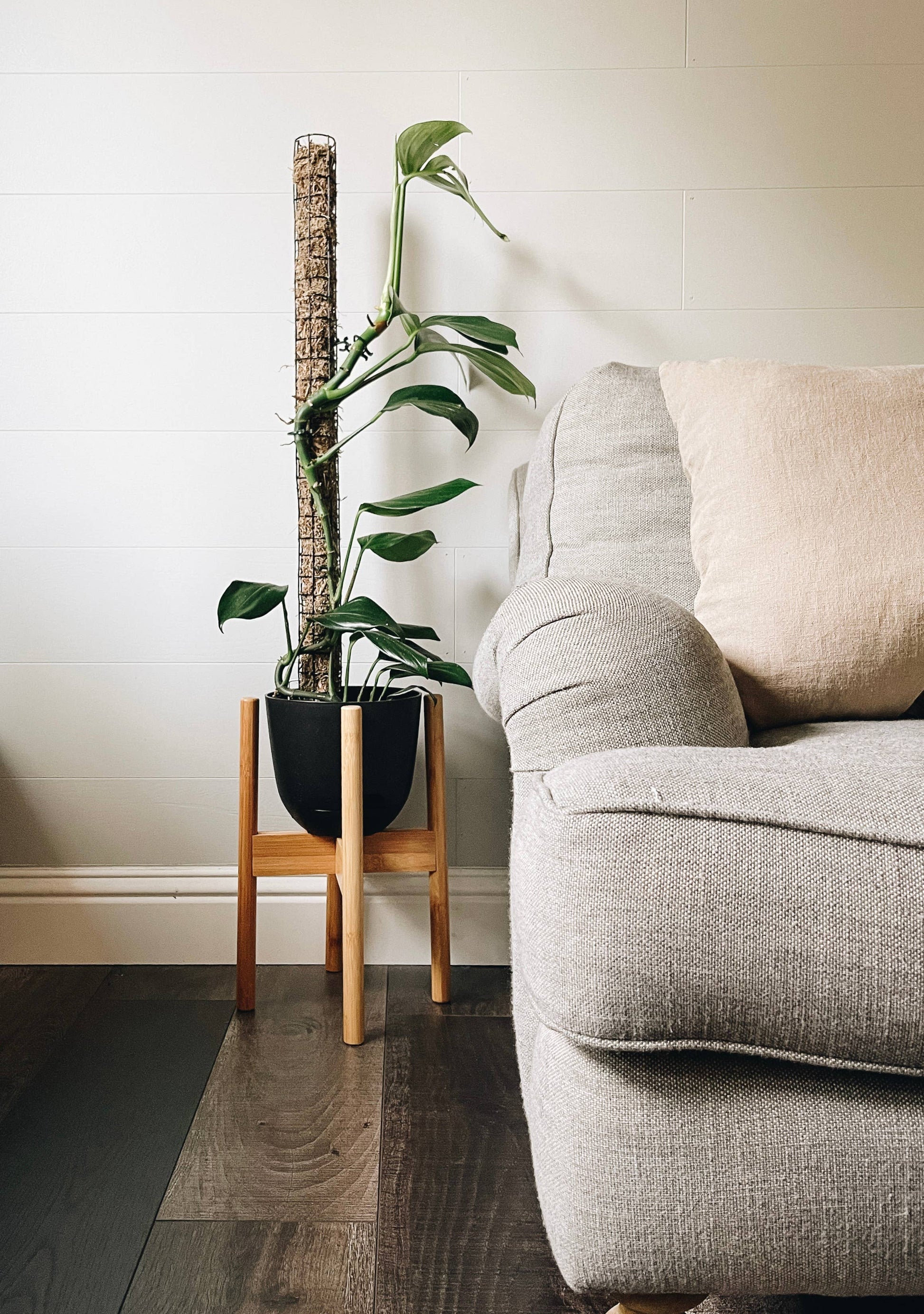 Mossi-Pole | Sphagnum Moss Pole | 36" and 18"