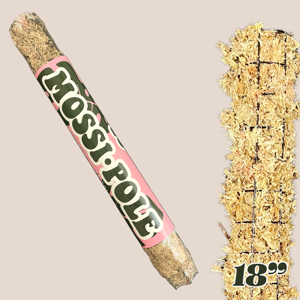 Mossi-Pole | Sphagnum Moss Pole | 36" and 18"
