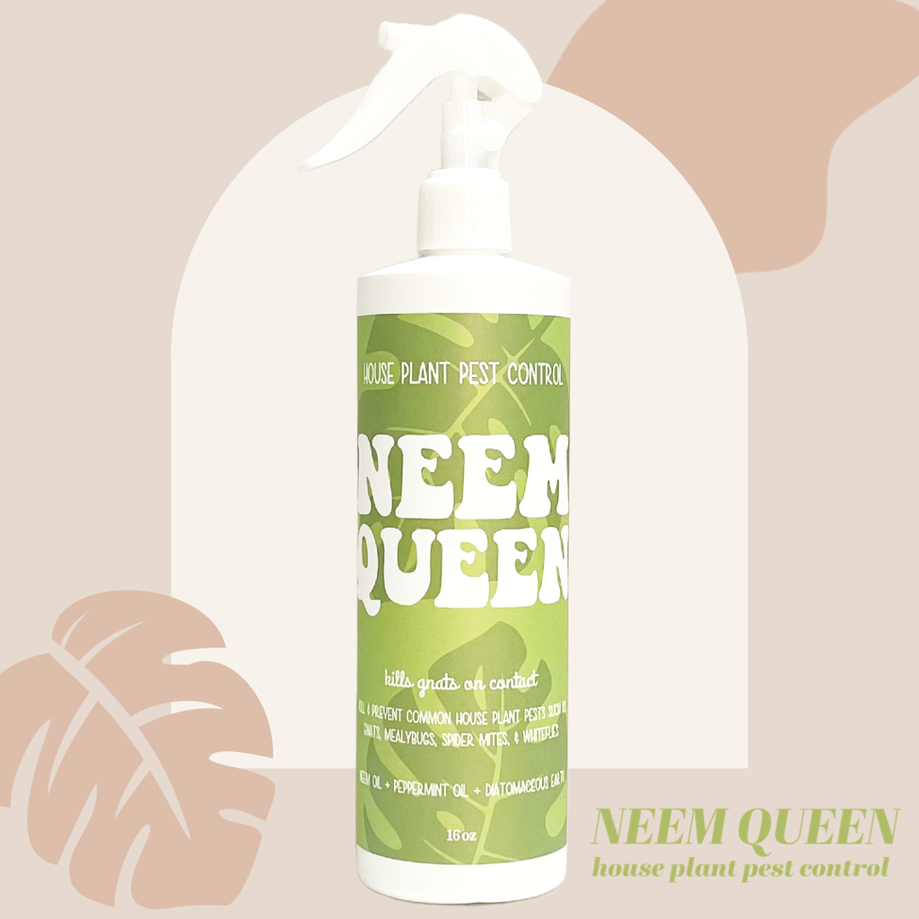 Neem Queen ~ Organic House Plant Pest Control