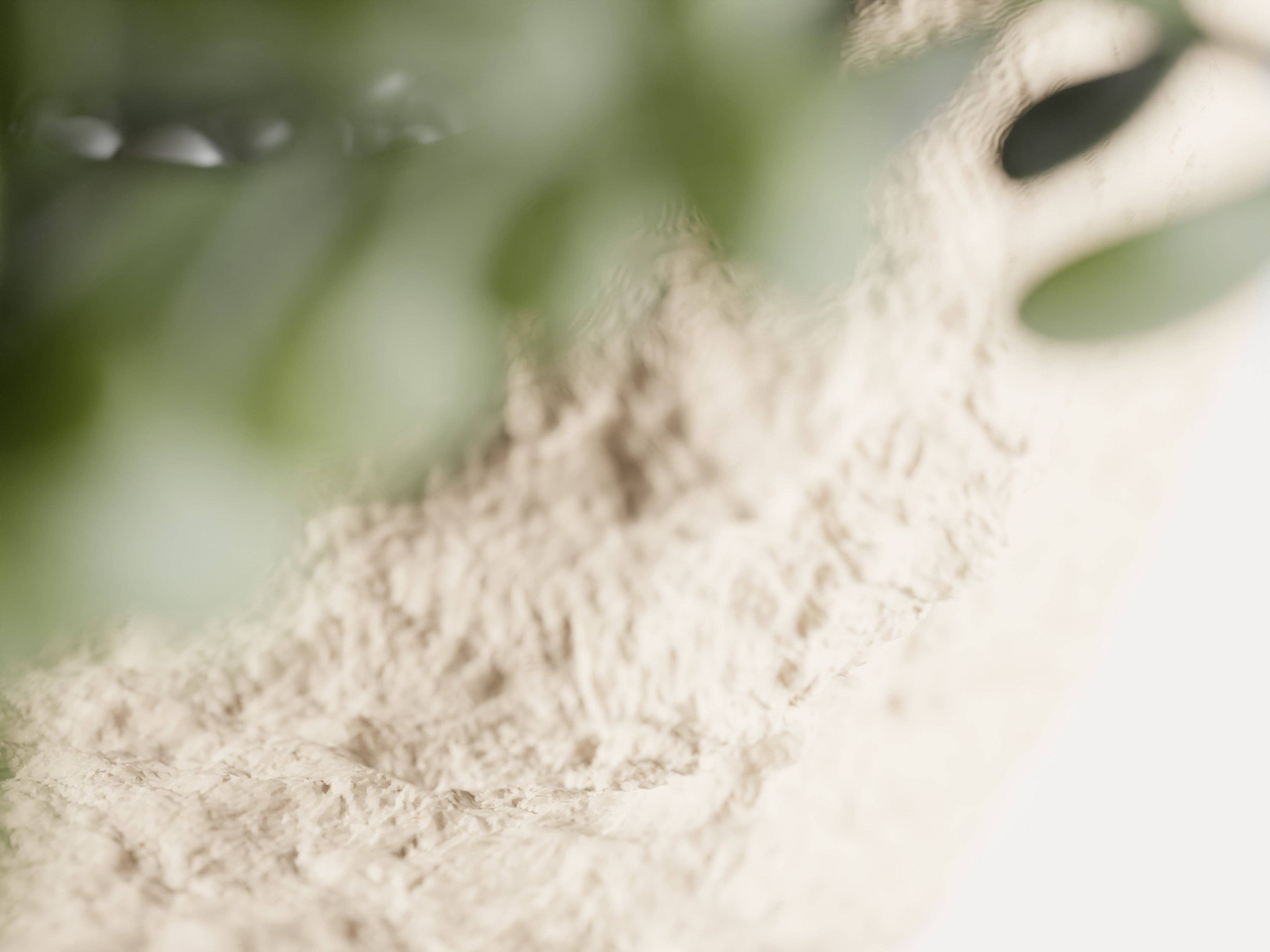 Rock-Like Plant Pot | Nature Style