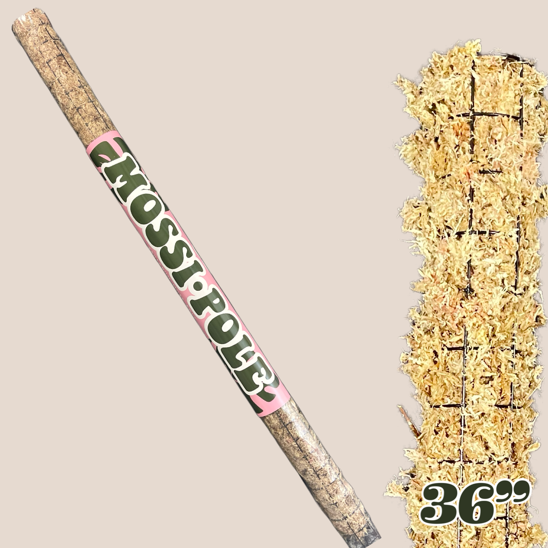 Mossi-Pole | Sphagnum Moss Pole | 36" and 18"