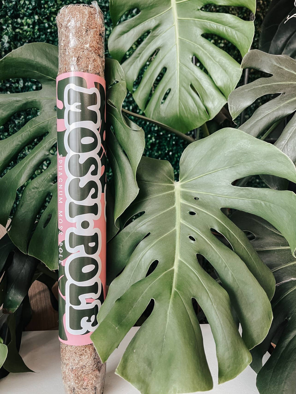 Mossi-Pole | Sphagnum Moss Pole | 36" and 18"