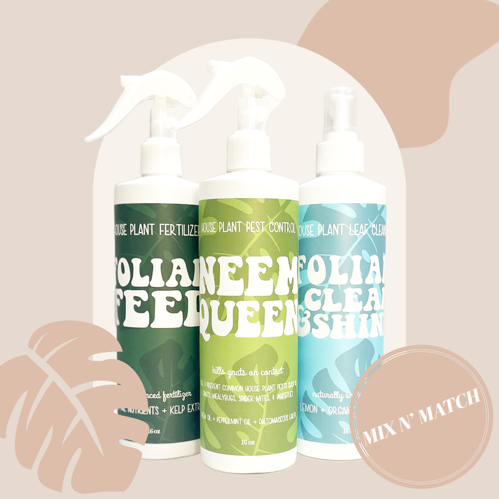 Foliar Feed ~ Organic House Plant Fertilizer